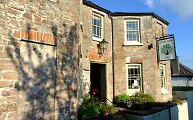Royal Oak Inn Hotel
